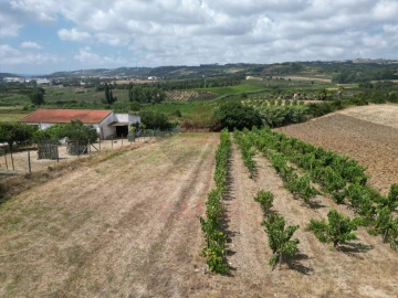 Terreno para Venda em Carvalhal
