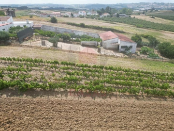 Terreno para Venda em Carvalhal