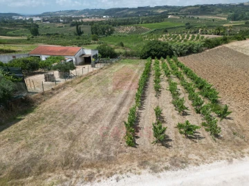 Terreno para Venda em Carvalhal