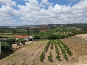 Terreno para Venda em Carvalhal
