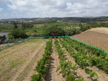 Terreno para Venda em Carvalhal