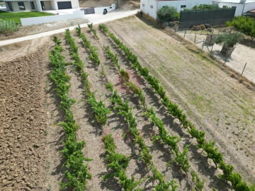 Terreno para Venda em Carvalhal