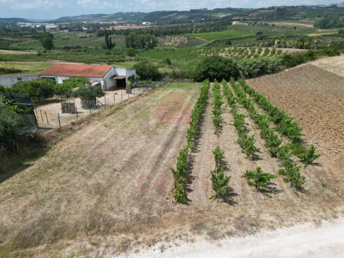 Terreno para Venda em Carvalhal Foto 4