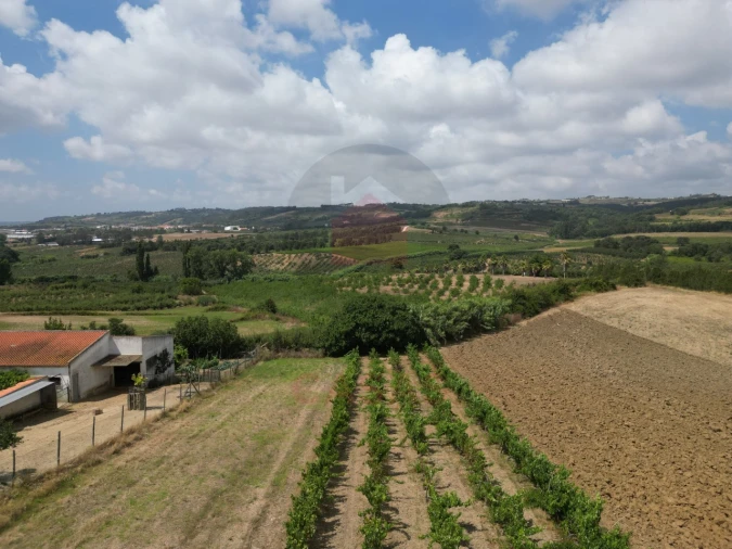 Terreno para Venda em Carvalhal Foto 6