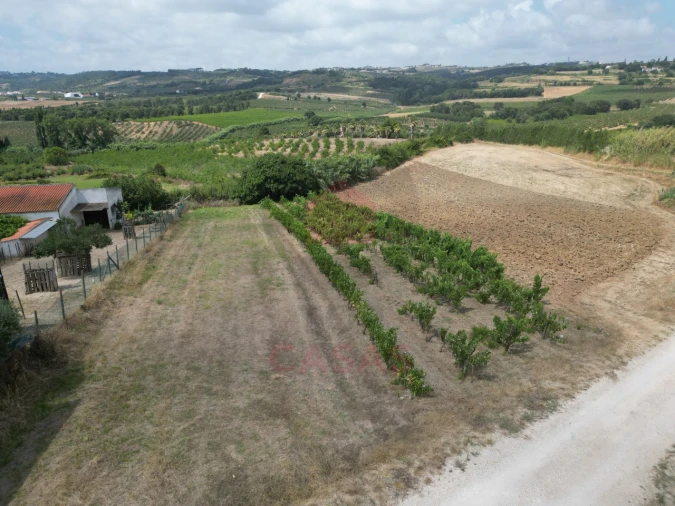 Terreno para Venda em Carvalhal Foto 7