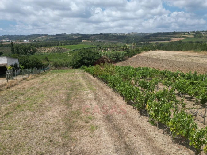 Terreno para Venda em Carvalhal Foto 9