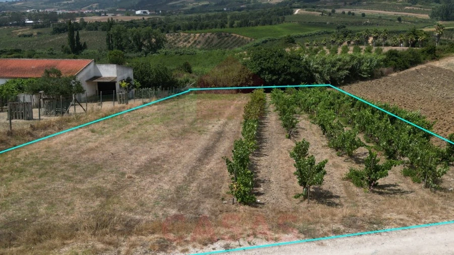 Terreno para Venda em Carvalhal