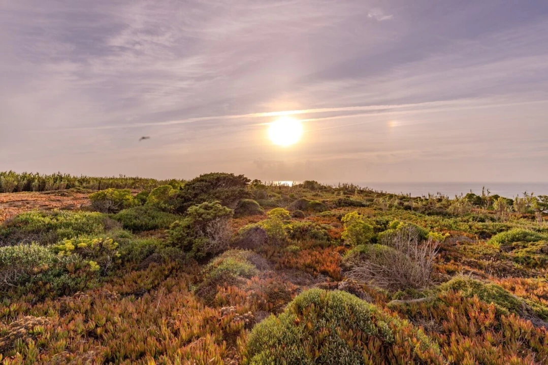 Terreno para Venda em Ericeira Foto 7