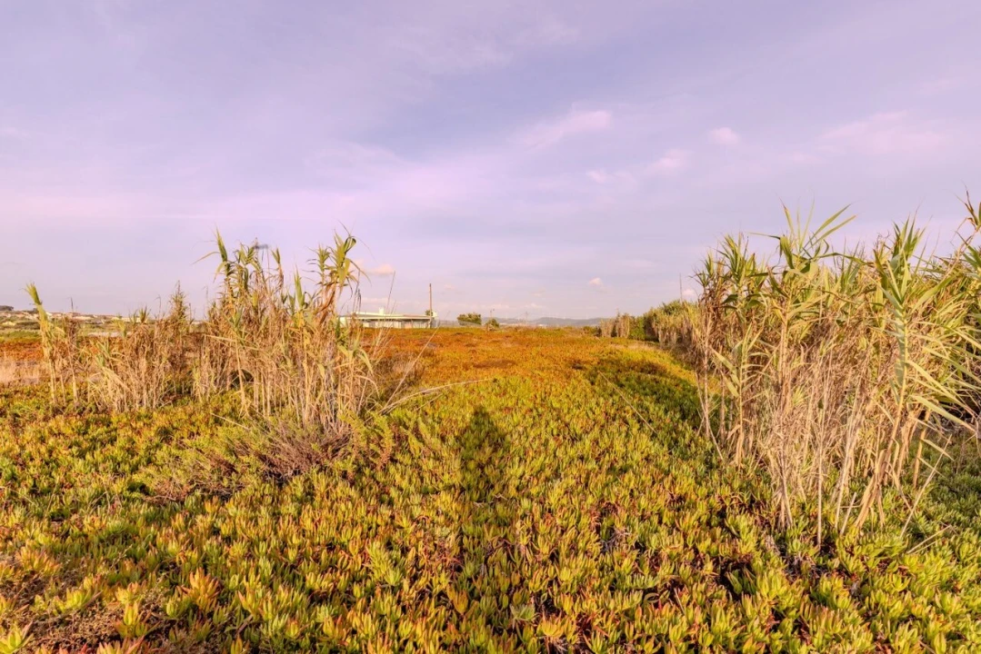 Terreno para Venda em Ericeira Foto 13