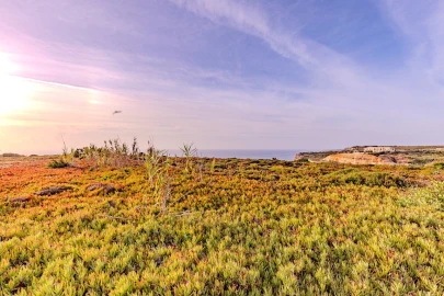 Terreno para Venda em Ericeira