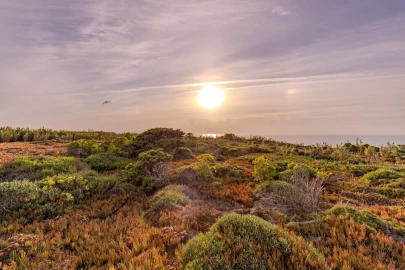 Terreno para Venda em Ericeira