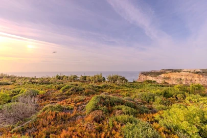 Terreno para Venda em Ericeira