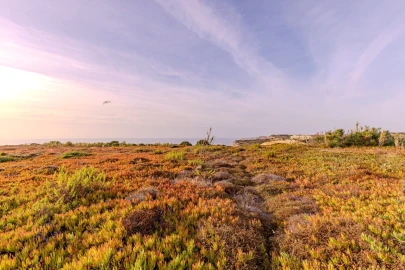 Terreno para Venda em Ericeira