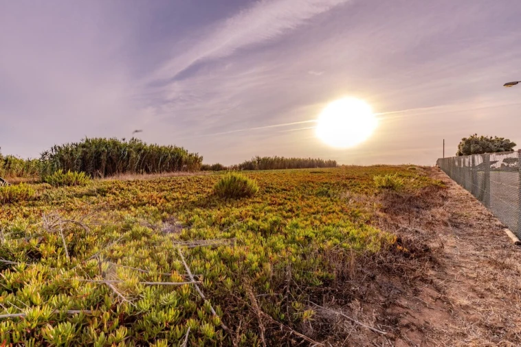 Terreno para Venda em Ericeira Foto 6