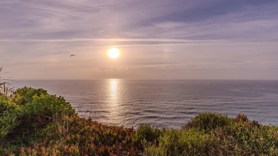 Terreno para Venda em Ericeira