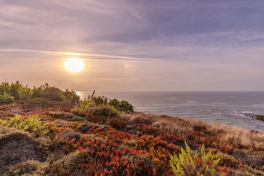 Terreno para Venda em Encarnação Foto 3