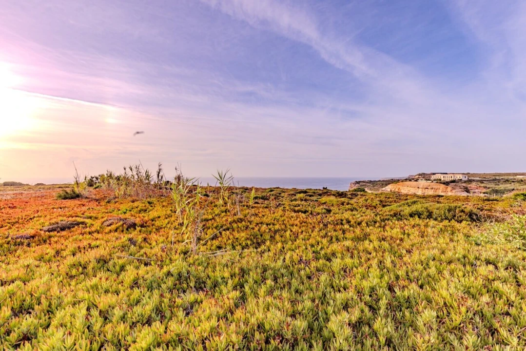 Terreno para Venda em Encarnação Foto 5