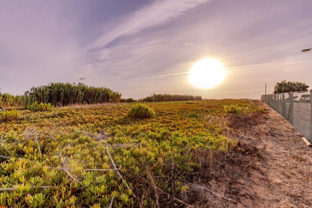 Terreno para Venda em Encarnação Foto 6