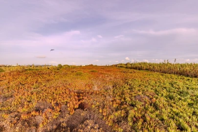 Terreno para Venda em Encarnação