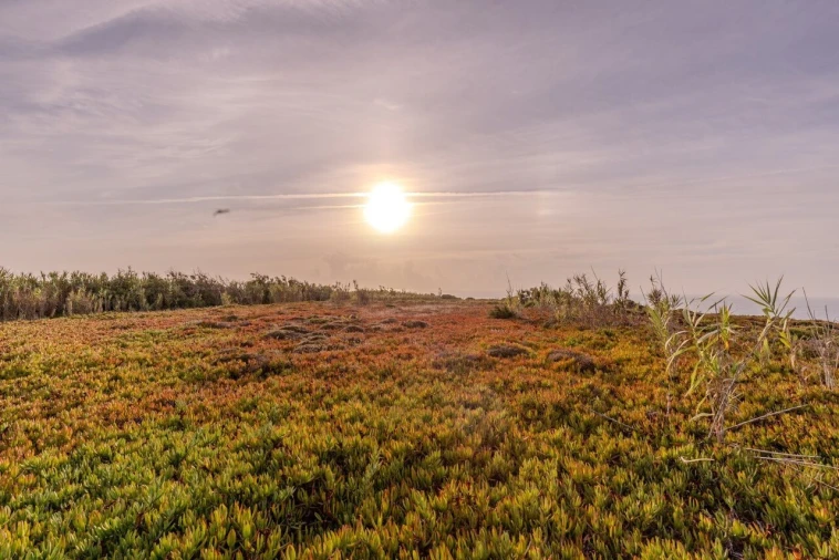 Terreno para Venda em Encarnação Foto 11