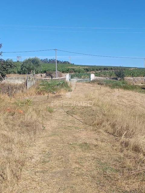 Quinta T3 para Venda em Borba (Matriz)