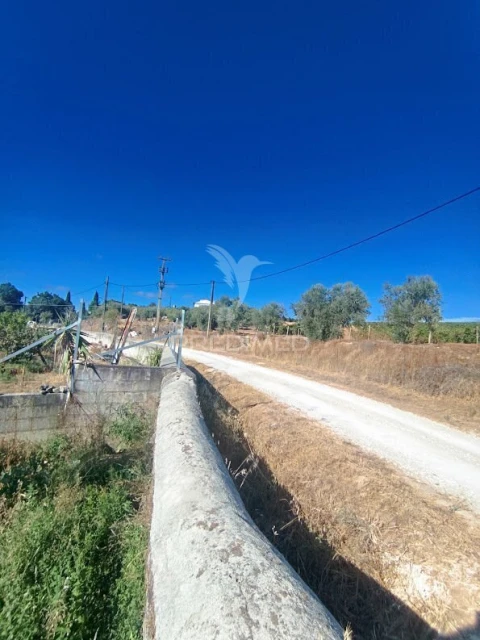 Quinta T3 para Venda em Borba (Matriz)