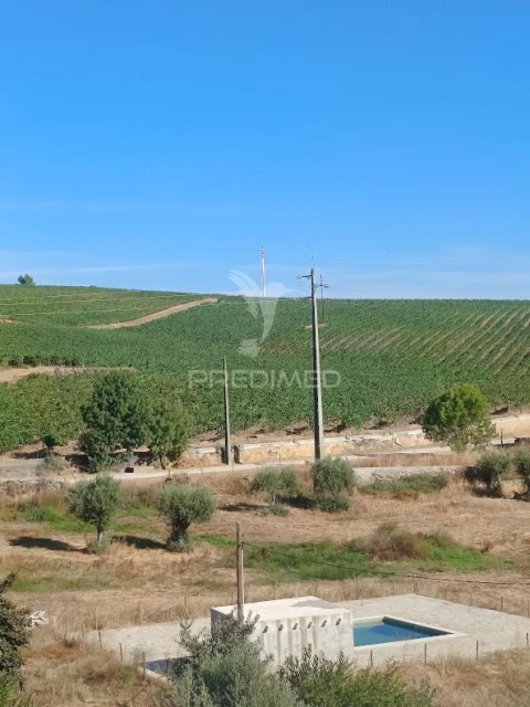 Quinta T3 para Venda em Borba (Matriz)
