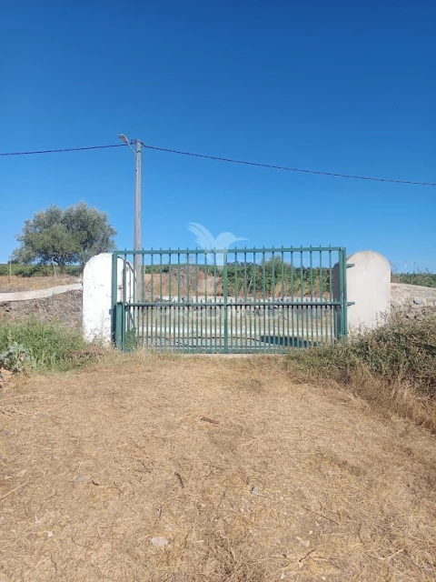 Quinta T3 para Venda em Borba (Matriz)