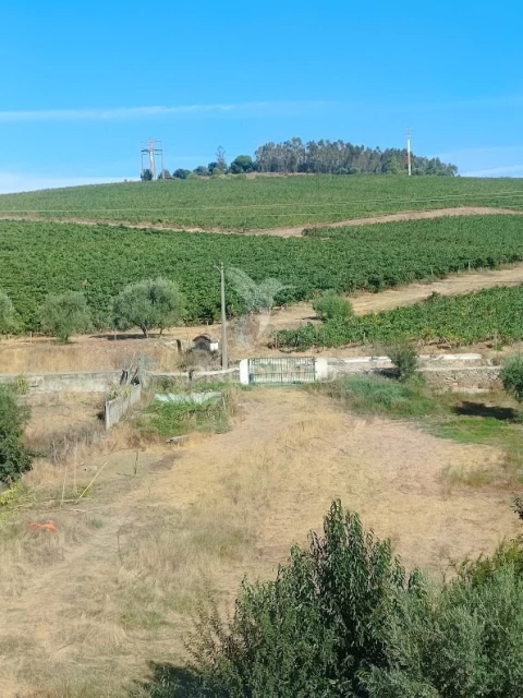 Quinta T3 para Venda em Borba (Matriz)