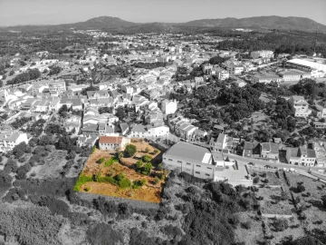 Terreno para Venda em Mação, Penhascoso e Aboboreira