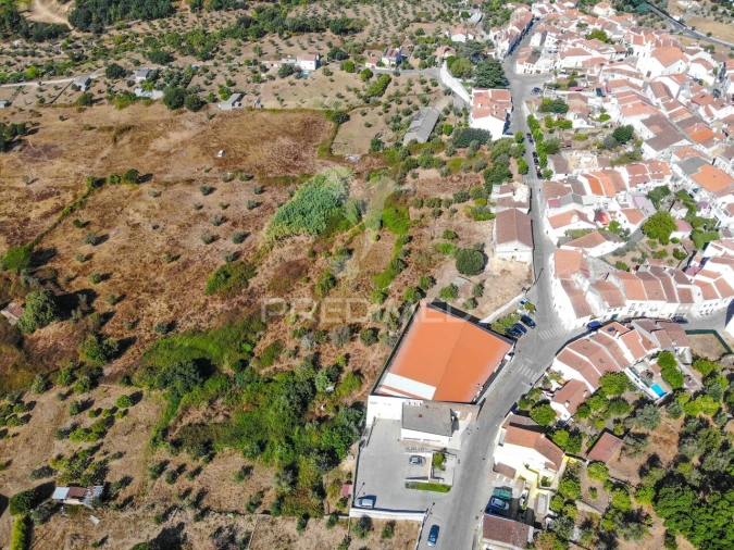 Terreno para Venda em Mação, Penhascoso e Aboboreira Foto 7