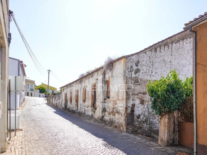 Terreno para Venda em Mação, Penhascoso e Aboboreira Foto 12