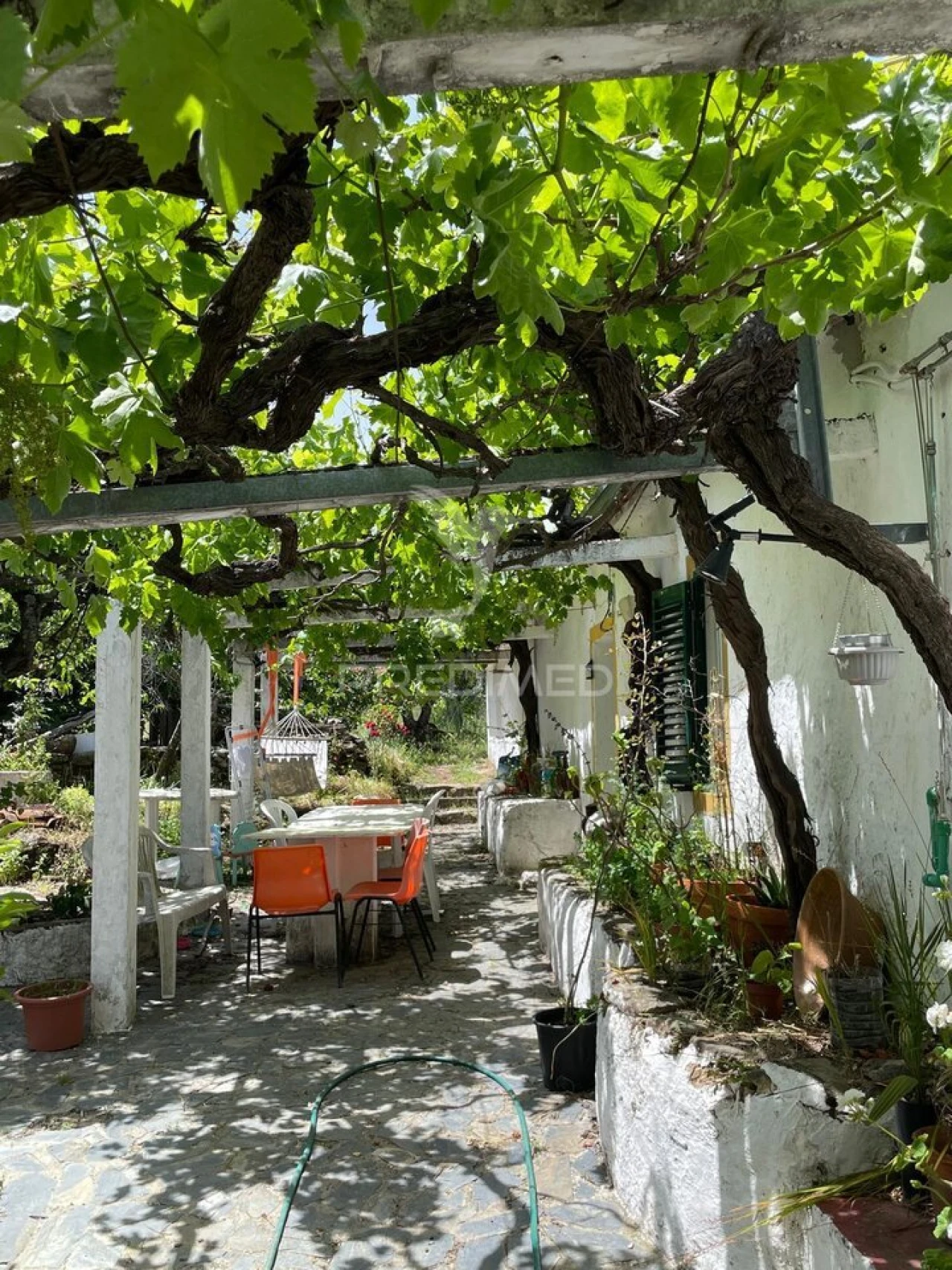 Quinta T4 para Venda em Ribeira de Nisa e Carreiras Foto 2