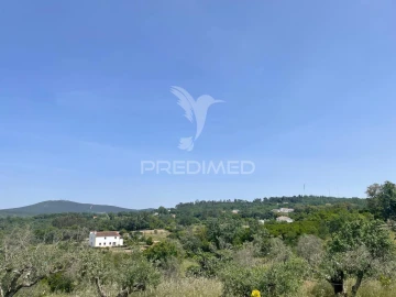 Quinta T4 para Venda em Ribeira de Nisa e Carreiras