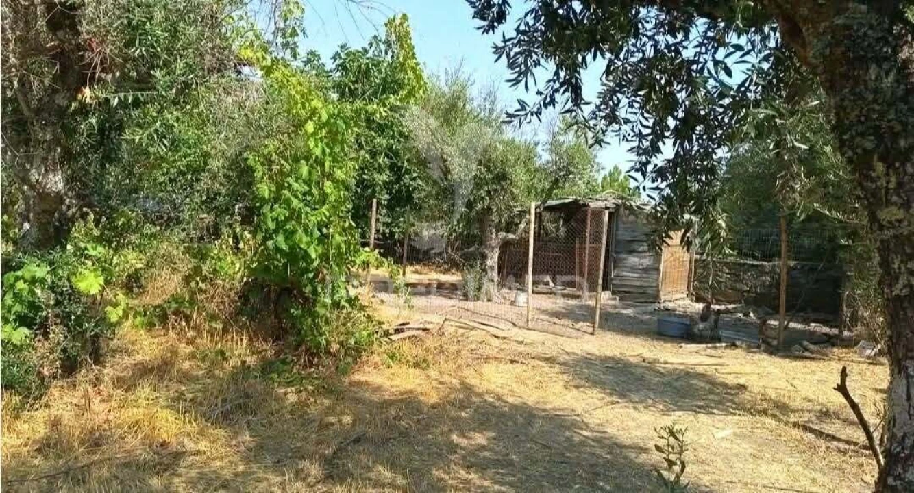 Quinta T4 para Venda em Ribeira de Nisa e Carreiras Foto 2