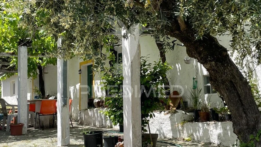 Quinta T4 para Venda em Ribeira de Nisa e Carreiras
