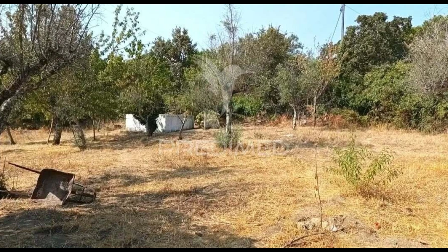 Quinta T4 para Venda em Ribeira de Nisa e Carreiras