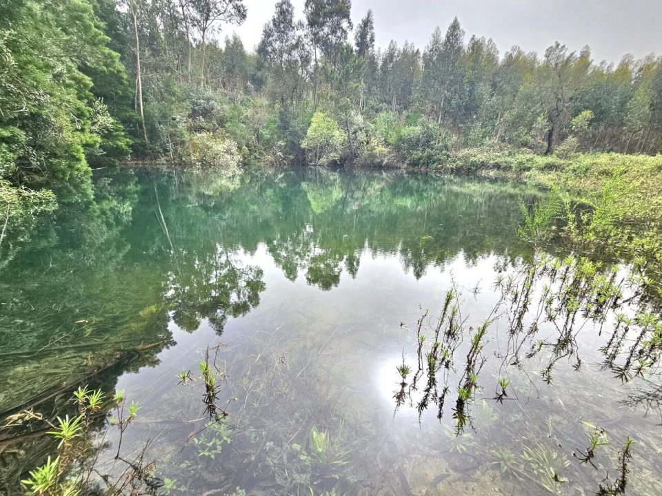Terreno para Venda em Monchique Foto 1