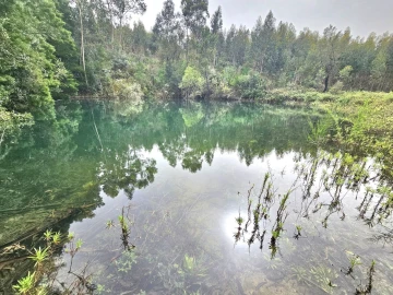 Terreno para Venda em Monchique
