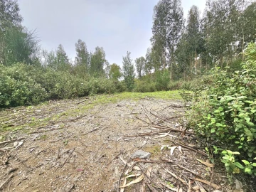 Terreno para Venda em Monchique