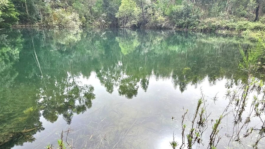 Terreno para Venda em Monchique