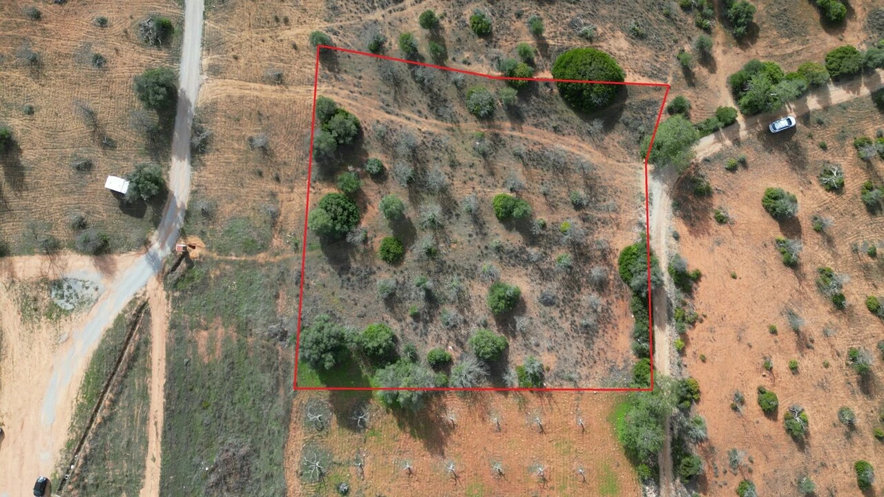 Terreno para Venda em Guia Foto 1