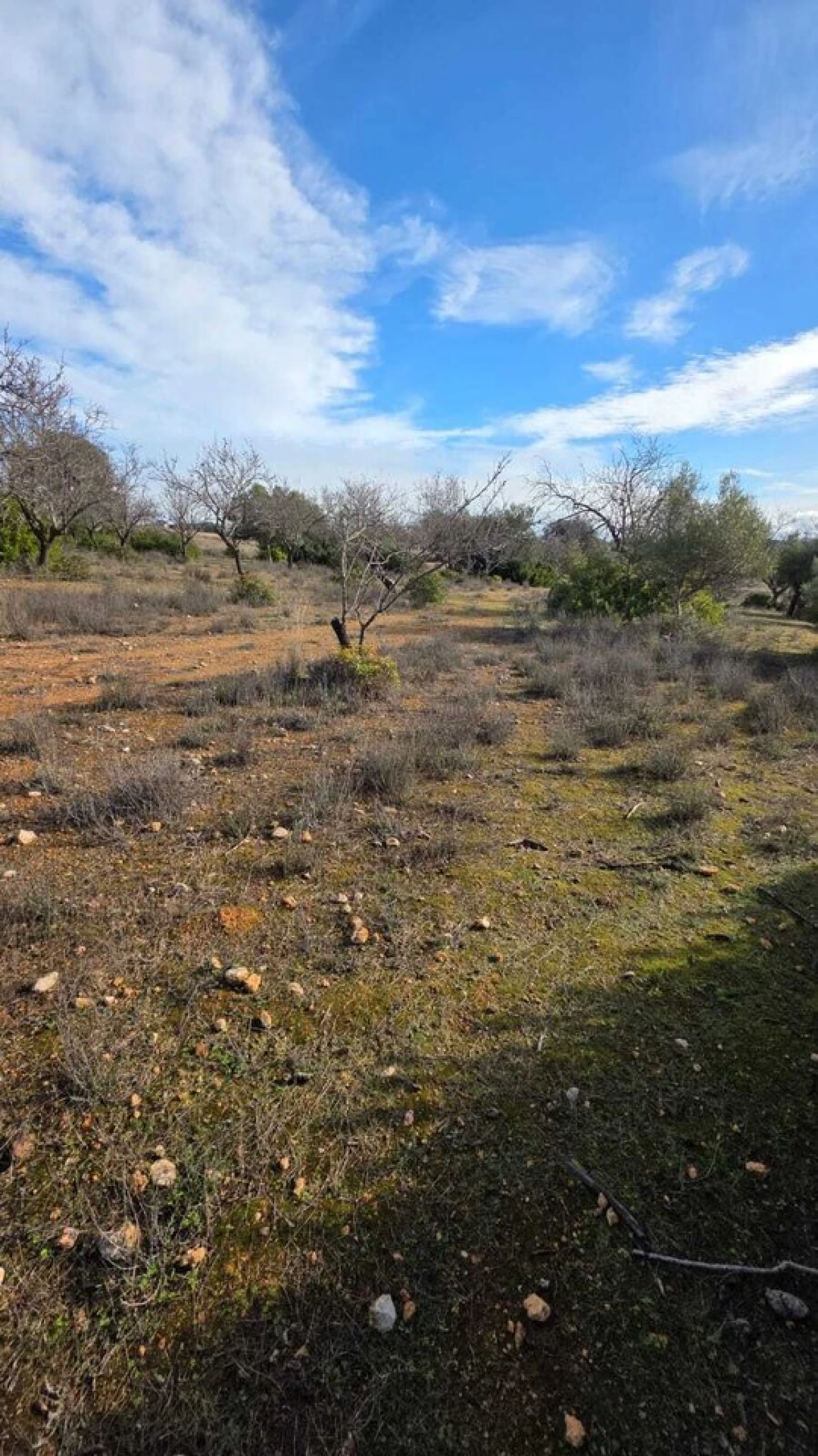 Terreno para Venda em Guia Foto 9