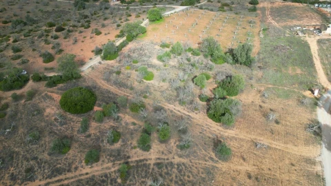 Terreno para Venda em Guia