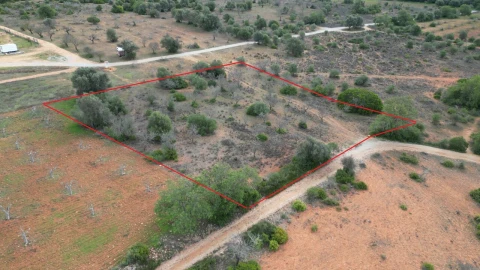 Terreno para Venda em Guia