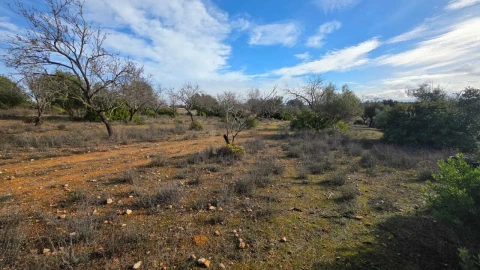 Terreno para Venda em Guia