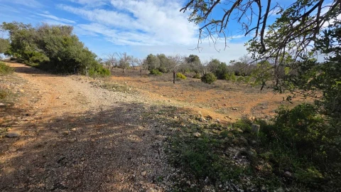 Terreno para Venda em Guia