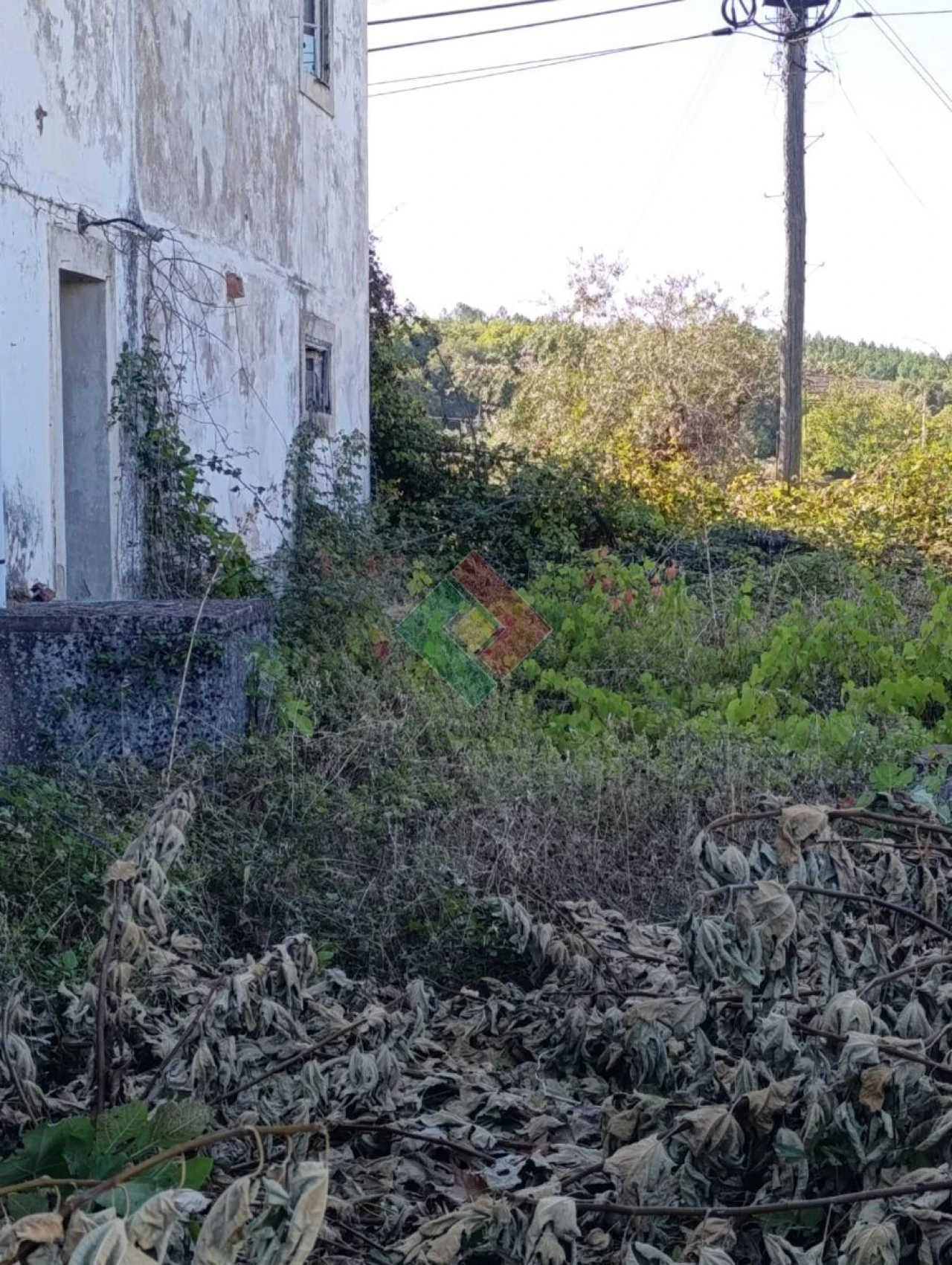 Moradia T12 para Venda em Santa Maria de Marvão Foto 12