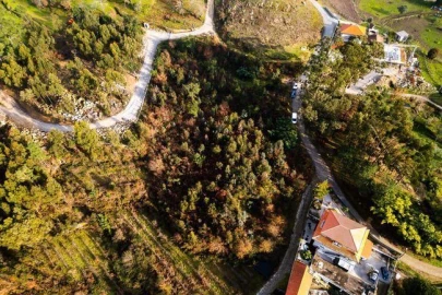 Terreno para Venda em Penhalonga e Paços de Gaiolo