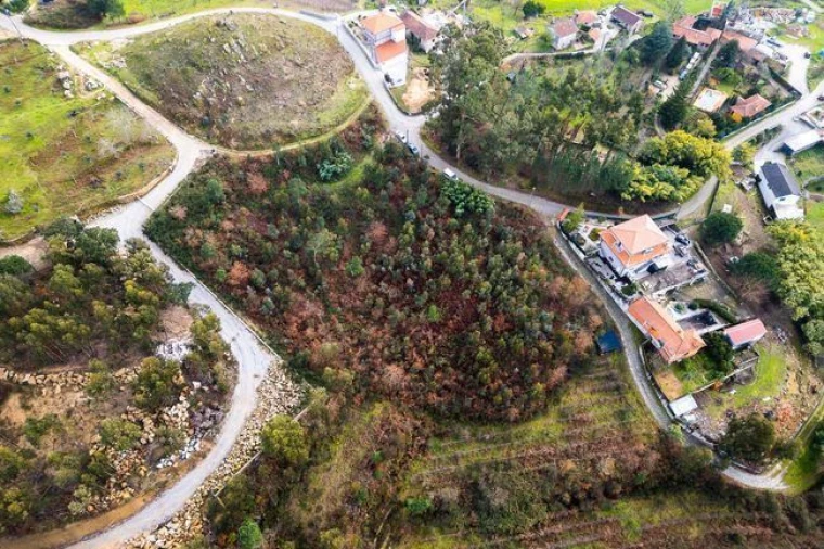 Terreno para Venda em Penhalonga e Paços de Gaiolo Foto 5